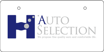 ナンバープレート実例集