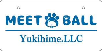 ナンバープレート実例集