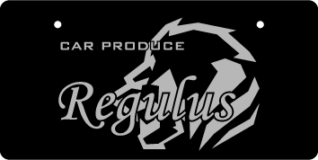 ナンバープレート実例集