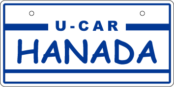 ナンバープレート実例集