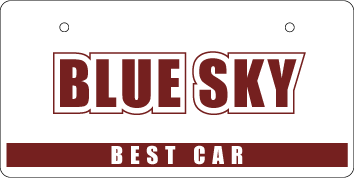 ナンバープレート実例集