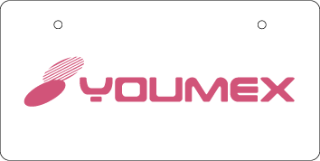 ナンバープレート実例集