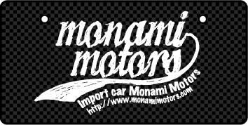 ナンバープレート実例集